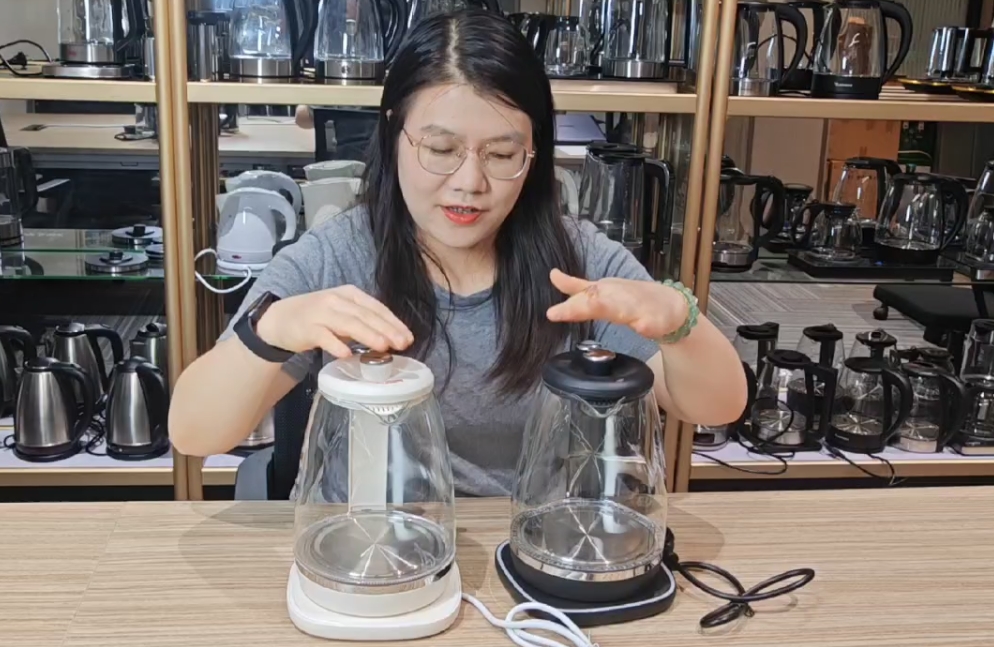 ZY-305 Electric Kettle